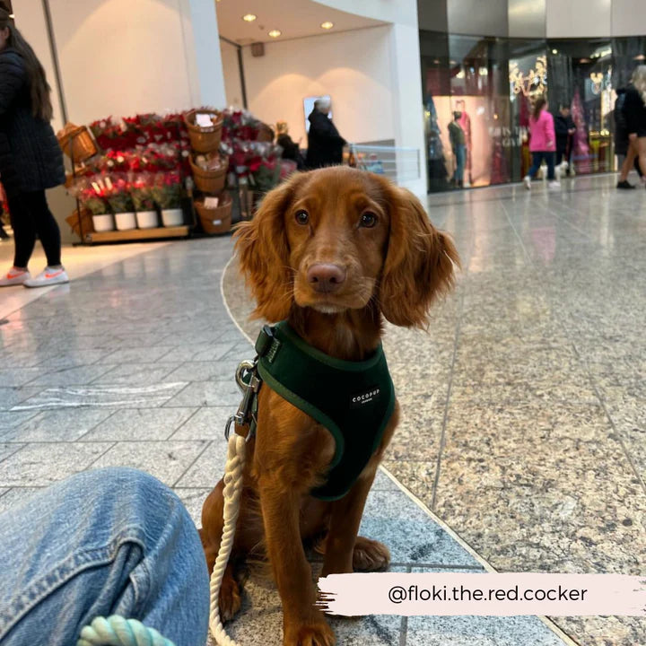Luxe Green Velvet Harness