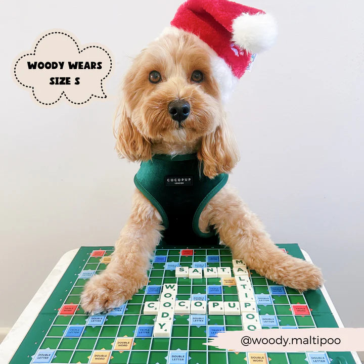 Luxe Green Velvet Harness