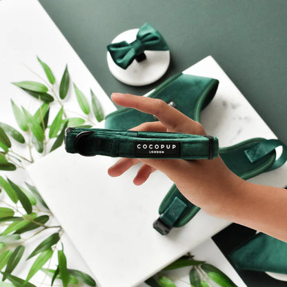 Luxe Green Velvet Collar