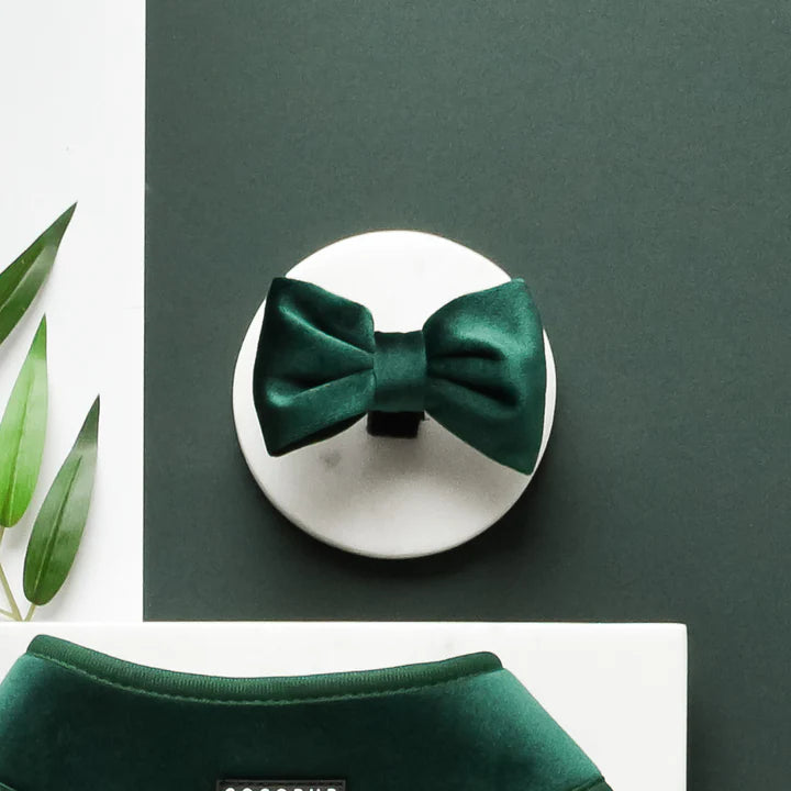 Luxe Green Velvet Bow Tie