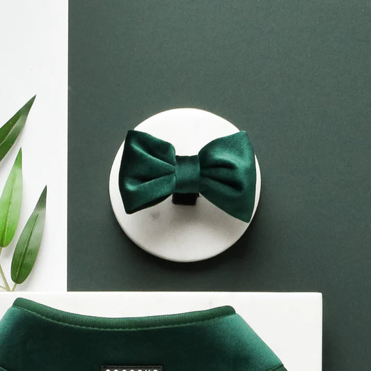 Luxe Green Velvet Bow Tie