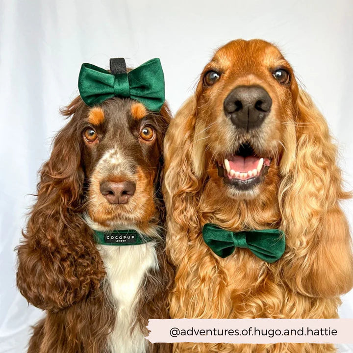 Luxe Green Velvet Bow Tie