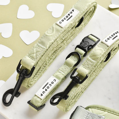 Sage Heart Leash