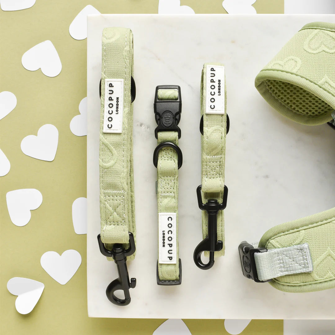 Sage Heart Leash