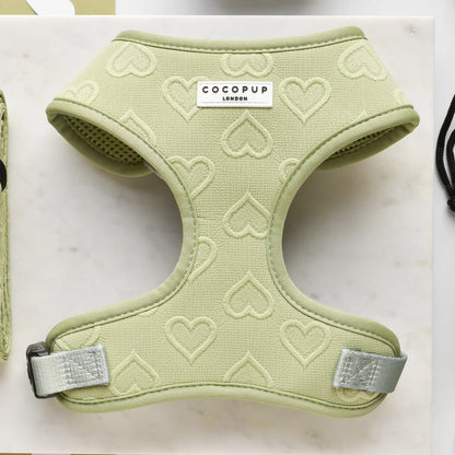 Sage Heart Harness