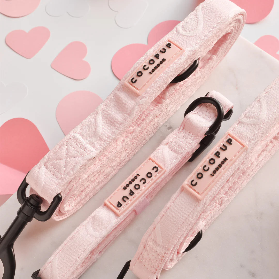 Baby Pink Heart Leash