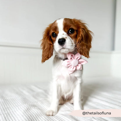 Baby Pink Heart Flower Bow