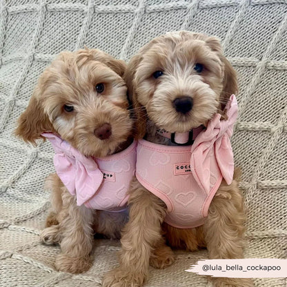 Baby Pink Heart Sailor Bow