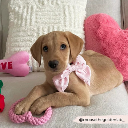Baby Pink Heart Sailor Bow