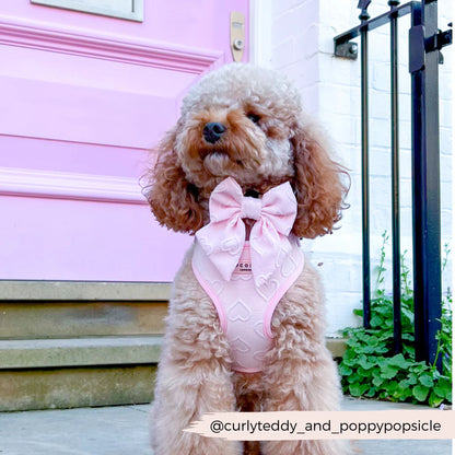 Baby Pink Heart Sailor Bow