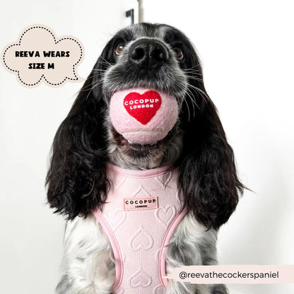 Baby Pink Heart Harness