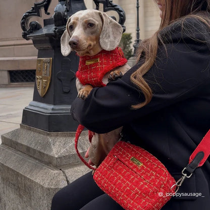 The Duchess Viral Dog Walking Bag