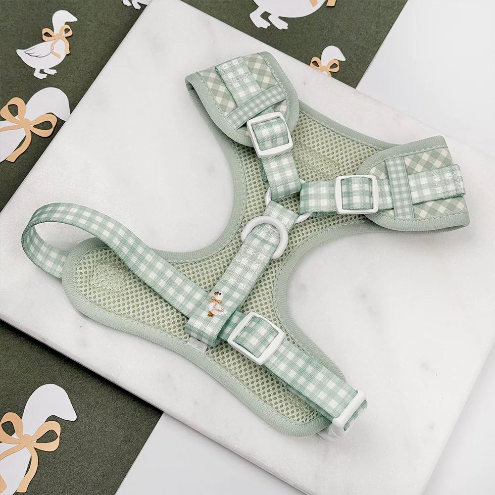 Silly Goose Harness