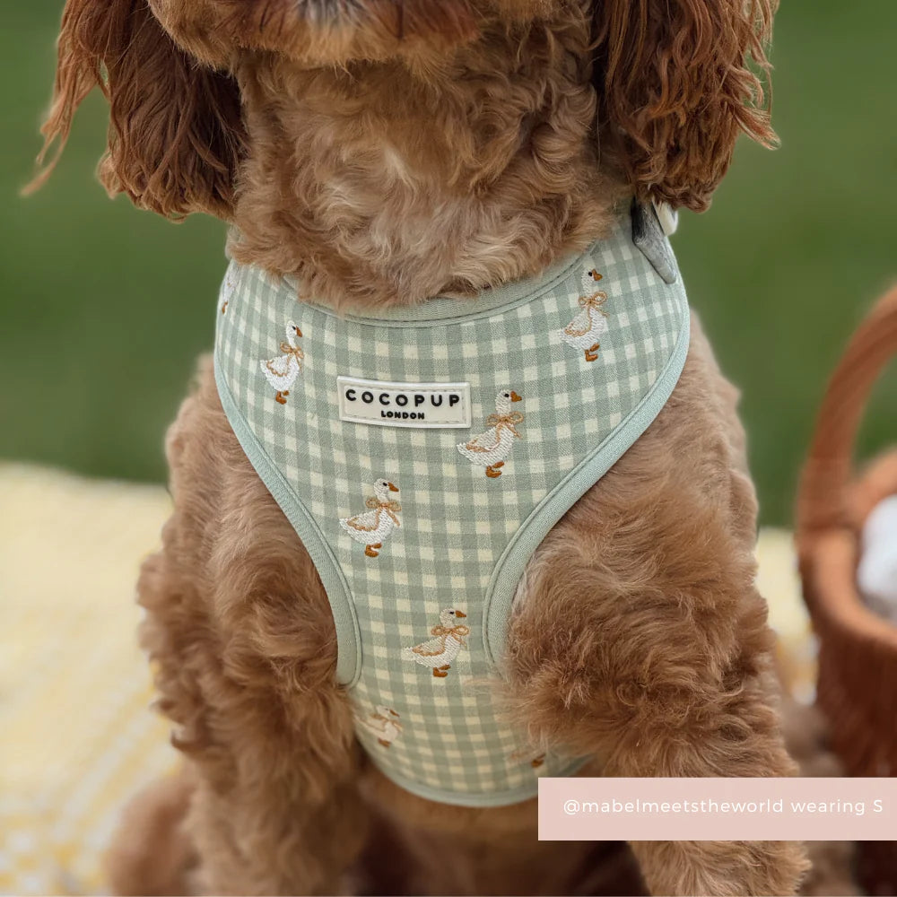 Silly Goose Harness