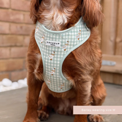 Silly Goose Harness