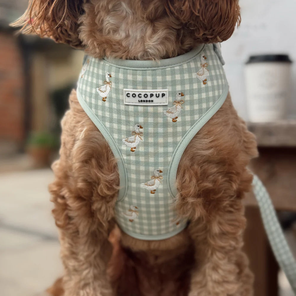 Silly Goose Harness