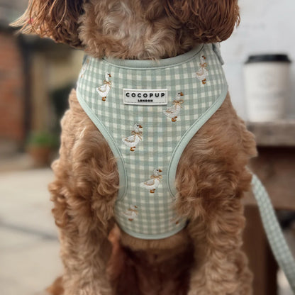 Silly Goose Harness