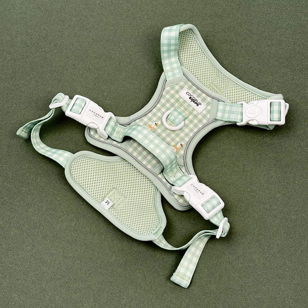 Silly Goose Explore Harness - XL