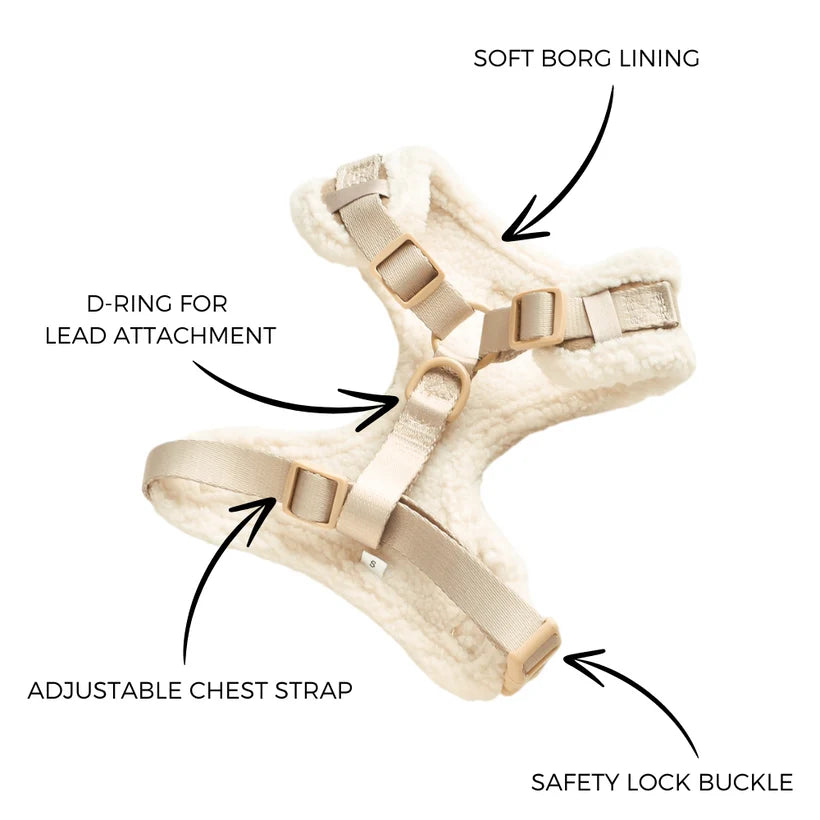 Nude Aviator - Adjustable Dog Harness