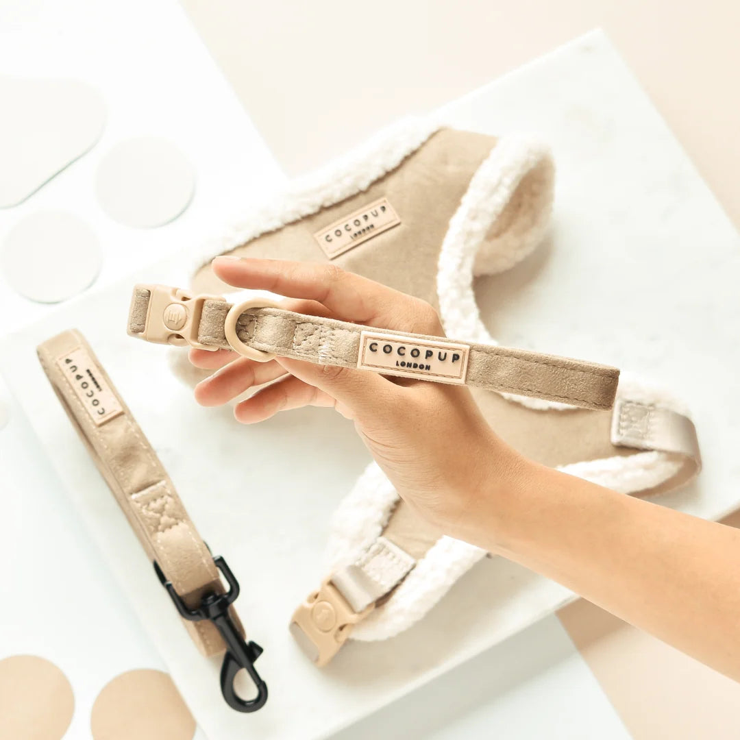 Nude Aviator - Adjustable Dog Collar