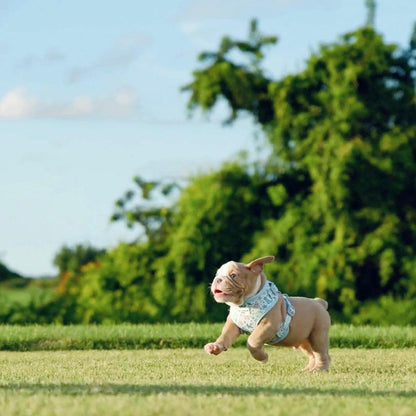 Dino-Paw Harness