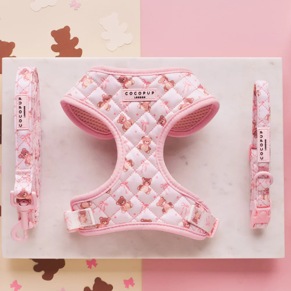 Thea Teddy Harness