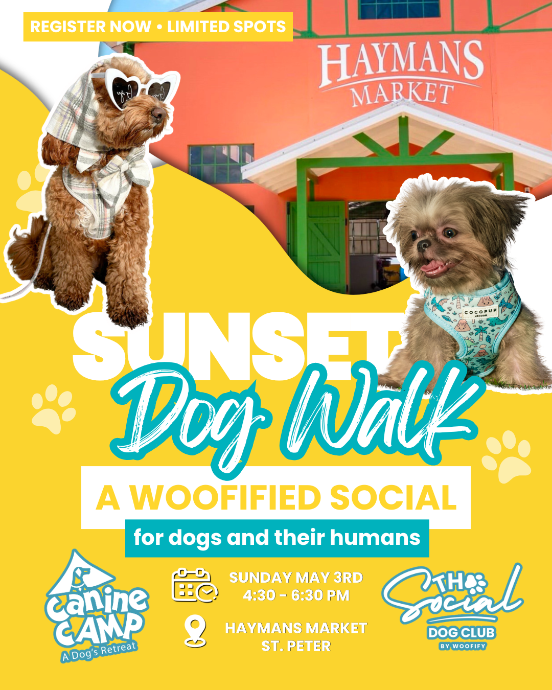 Sunset Dog Walk Ticket