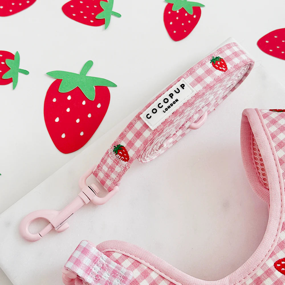 Strawberry Picnic Leash