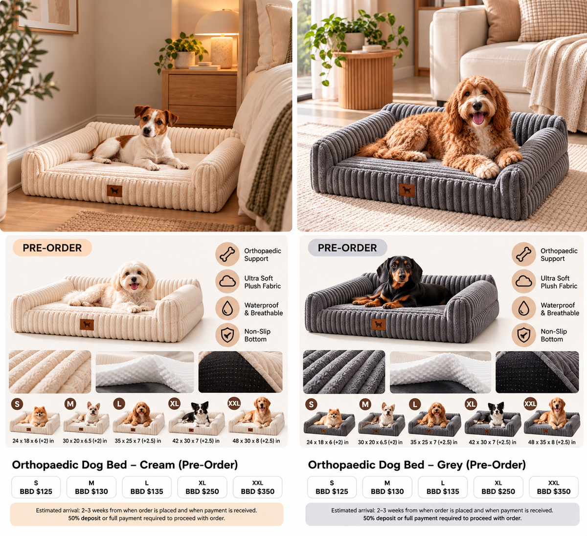 Orthopaedic dog bed sizes prices and pre-order details