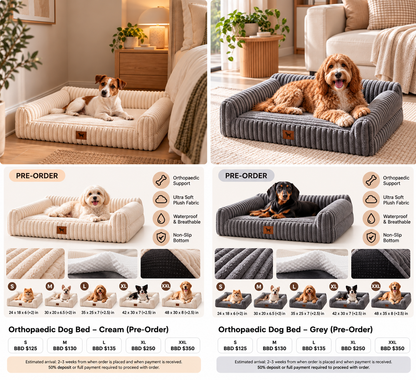 Orthopaedic dog bed sizes prices and pre-order details